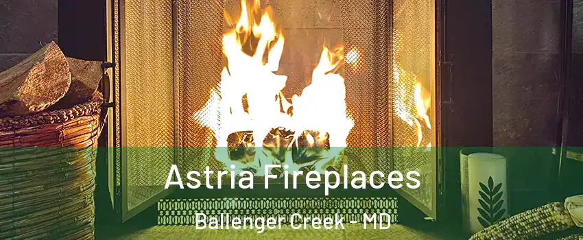  Astria Fireplaces Ballenger Creek - MD
