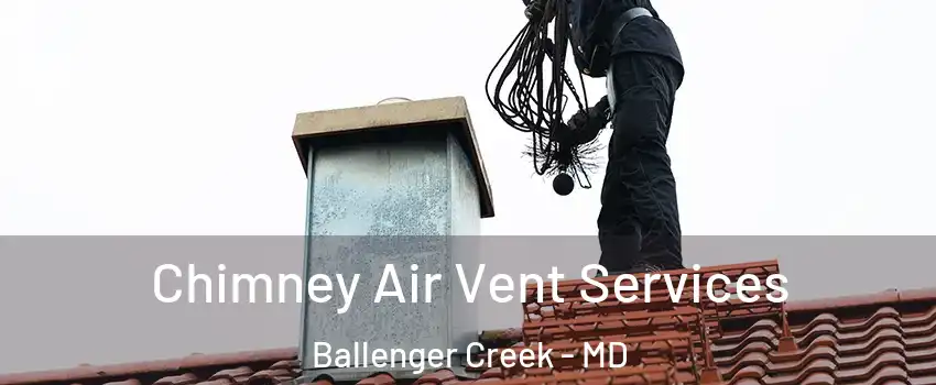  Chimney Air Vent Services Ballenger Creek - MD