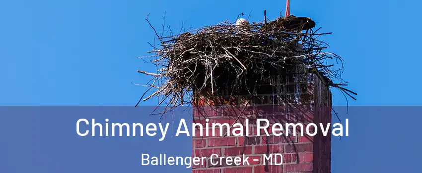  Chimney Animal Removal Ballenger Creek - MD