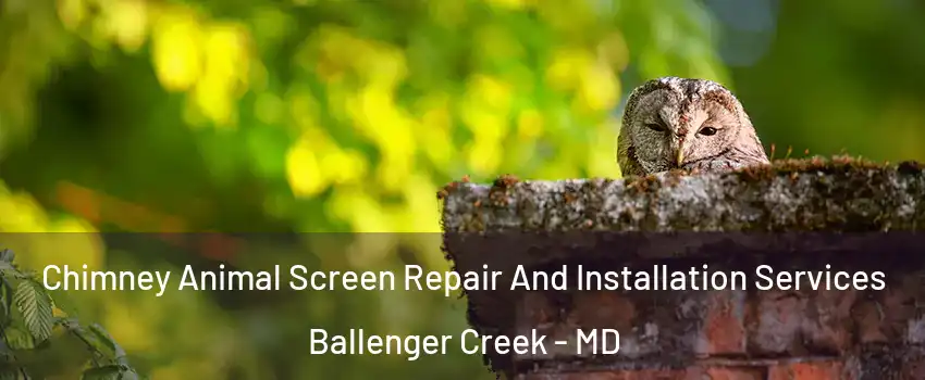  Chimney Animal Screen Repair And Installation Services Ballenger Creek - MD