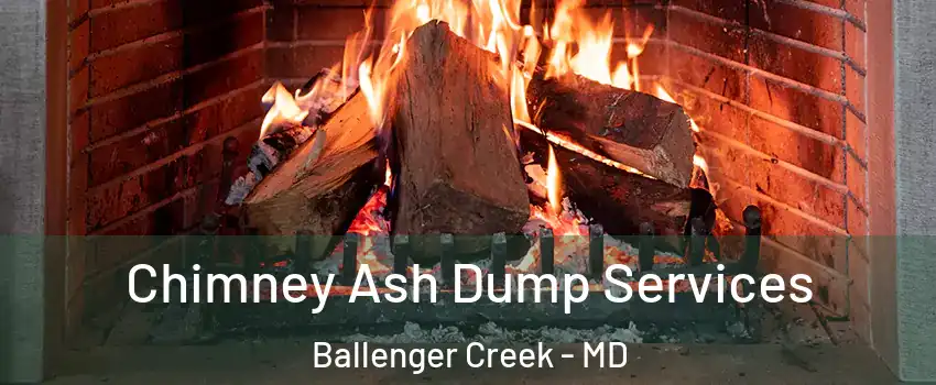  Chimney Ash Dump Services Ballenger Creek - MD
