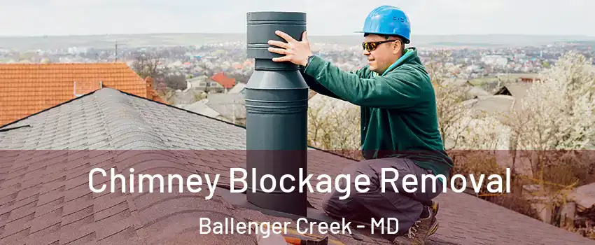  Chimney Blockage Removal Ballenger Creek - MD