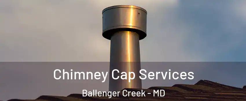  Chimney Cap Services Ballenger Creek - MD