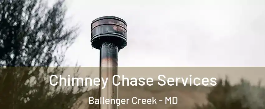  Chimney Chase Services Ballenger Creek - MD