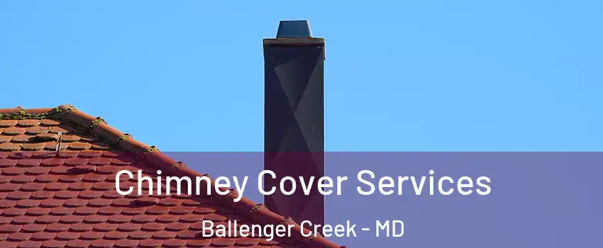 Chimney Cover Services Ballenger Creek - MD