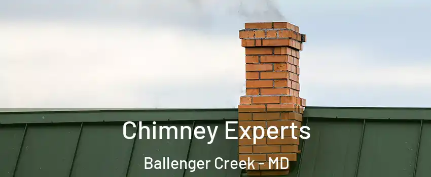  Chimney Experts Ballenger Creek - MD