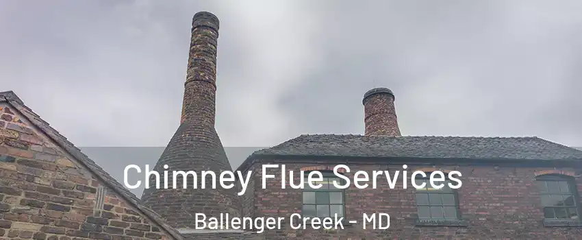  Chimney Flue Services Ballenger Creek - MD