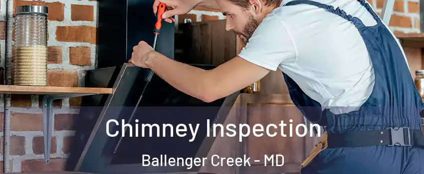  Chimney Inspection Ballenger Creek - MD