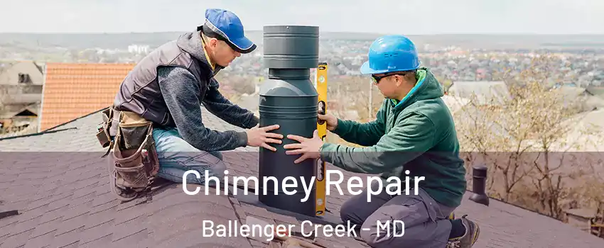 Chimney Repair Ballenger Creek - MD