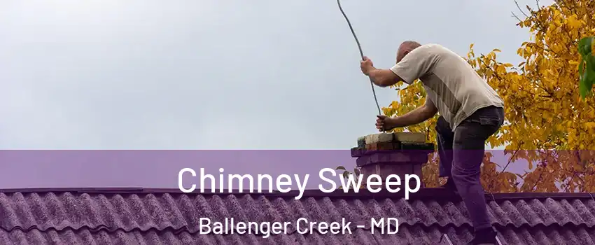  Chimney Sweep Ballenger Creek - MD