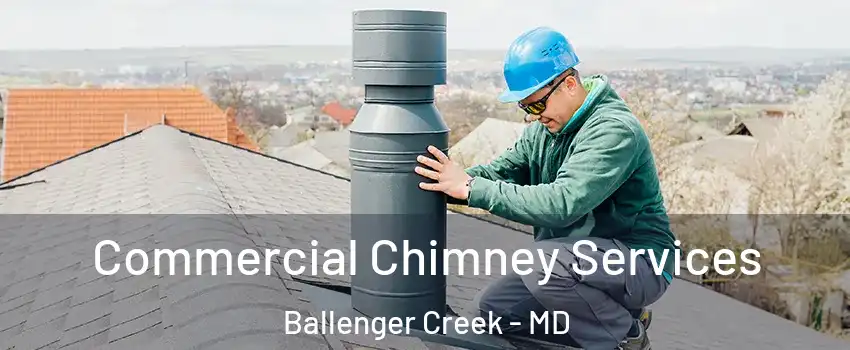  Commercial Chimney Services Ballenger Creek - MD