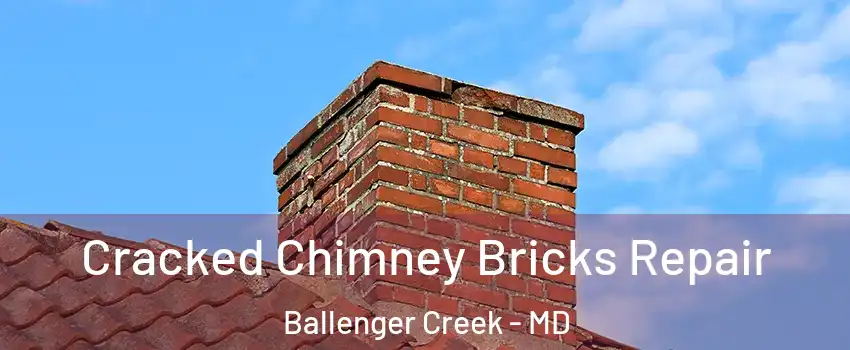  Cracked Chimney Bricks Repair Ballenger Creek - MD