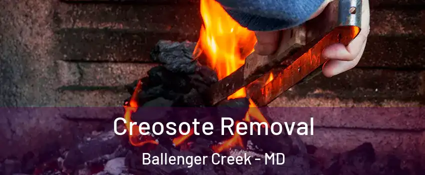  Creosote Removal Ballenger Creek - MD