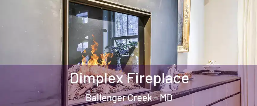  Dimplex Fireplace Ballenger Creek - MD