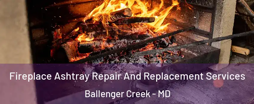  Fireplace Ashtray Repair And Replacement Services Ballenger Creek - MD