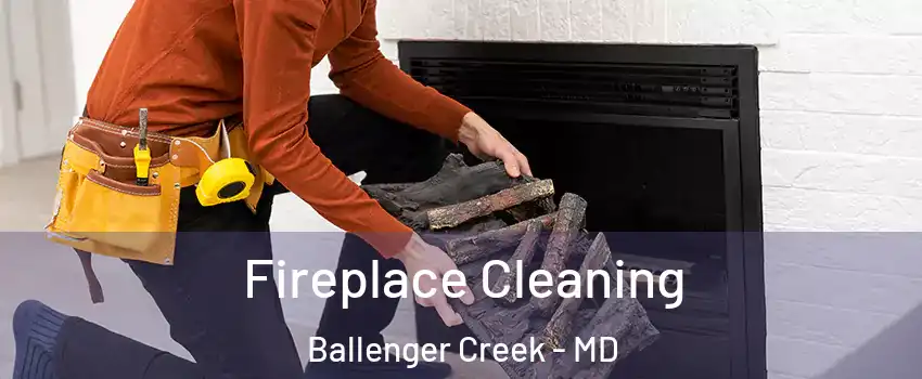  Fireplace Cleaning Ballenger Creek - MD