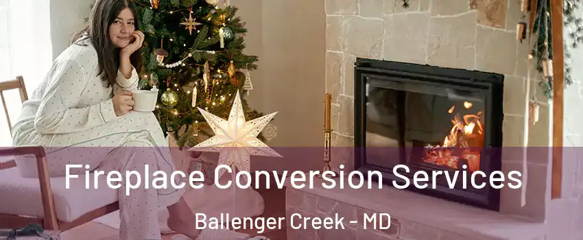  Fireplace Conversion Services Ballenger Creek - MD