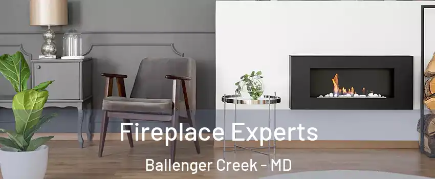  Fireplace Experts Ballenger Creek - MD