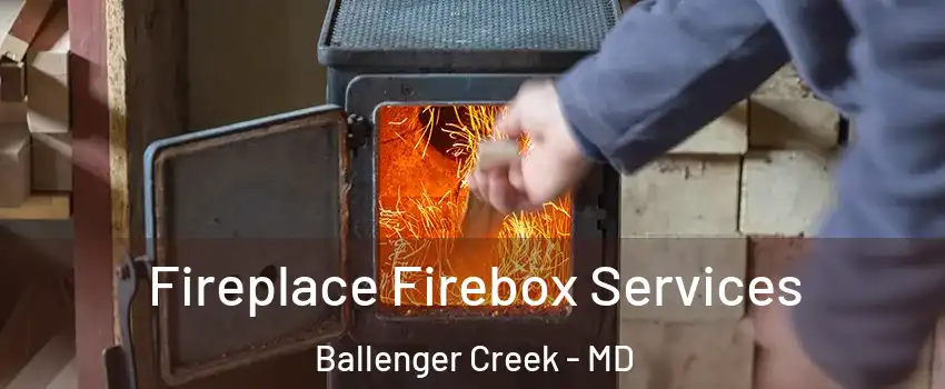  Fireplace Firebox Services Ballenger Creek - MD