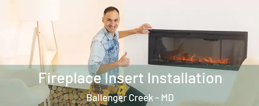  Fireplace Insert Installation Ballenger Creek - MD