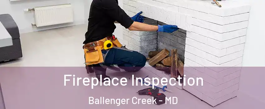  Fireplace Inspection Ballenger Creek - MD