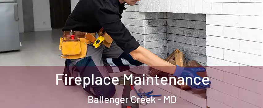  Fireplace Maintenance Ballenger Creek - MD
