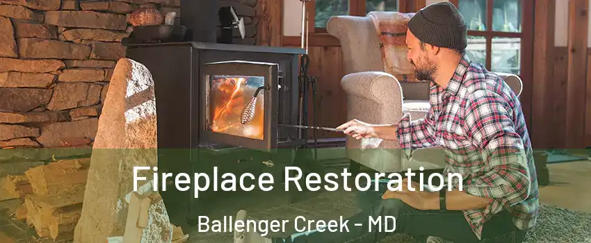  Fireplace Restoration Ballenger Creek - MD
