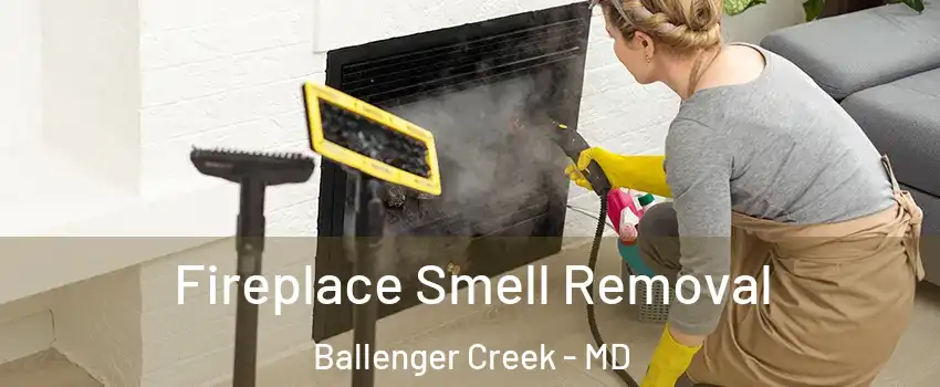  Fireplace Smell Removal Ballenger Creek - MD