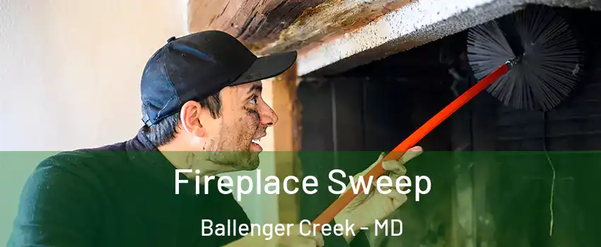  Fireplace Sweep Ballenger Creek - MD