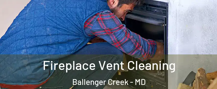  Fireplace Vent Cleaning Ballenger Creek - MD