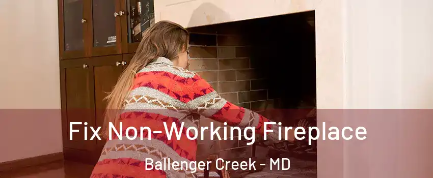  Fix Non-Working Fireplace Ballenger Creek - MD