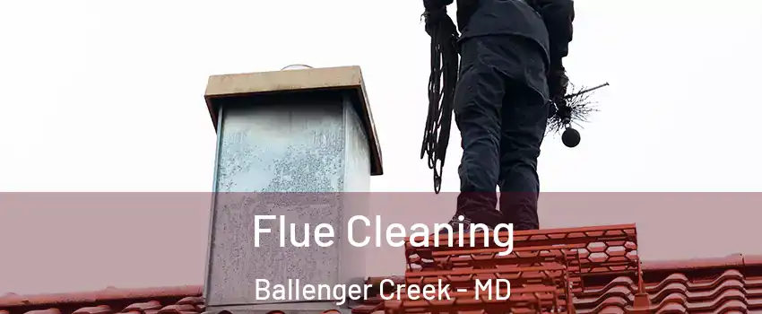  Flue Cleaning Ballenger Creek - MD