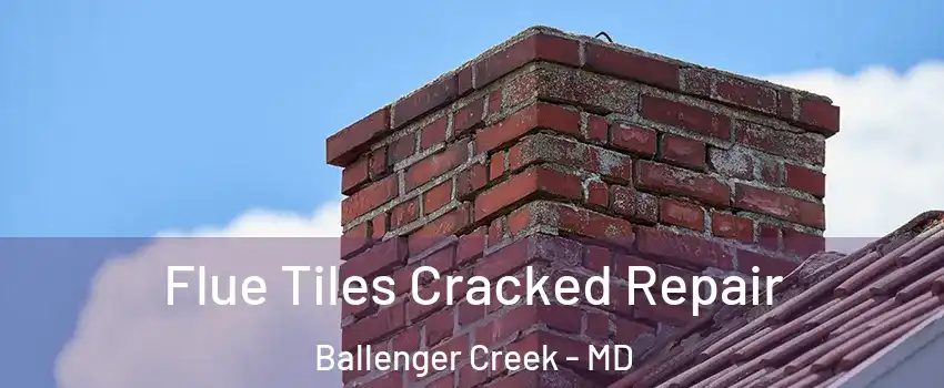  Flue Tiles Cracked Repair Ballenger Creek - MD