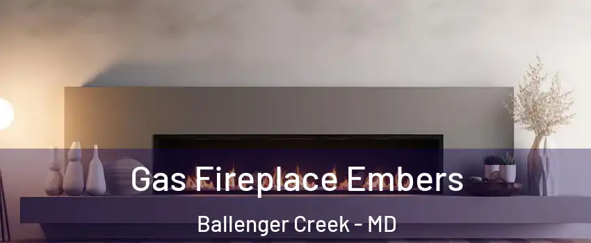  Gas Fireplace Embers Ballenger Creek - MD