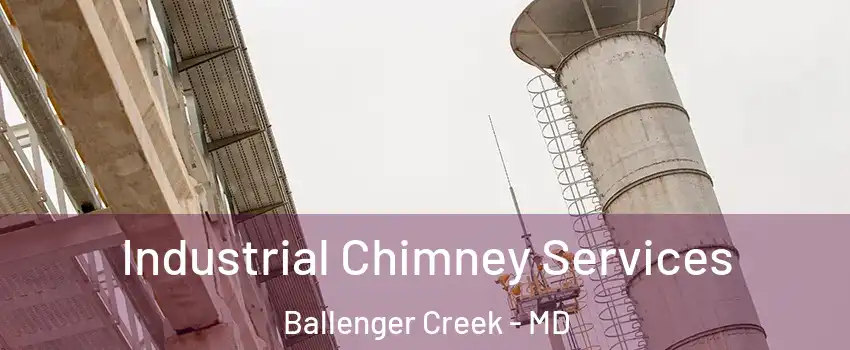  Industrial Chimney Services Ballenger Creek - MD
