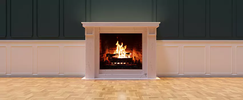 Napoleon Electric Fireplaces Inspection Service in Ballenger Creek, Maryland