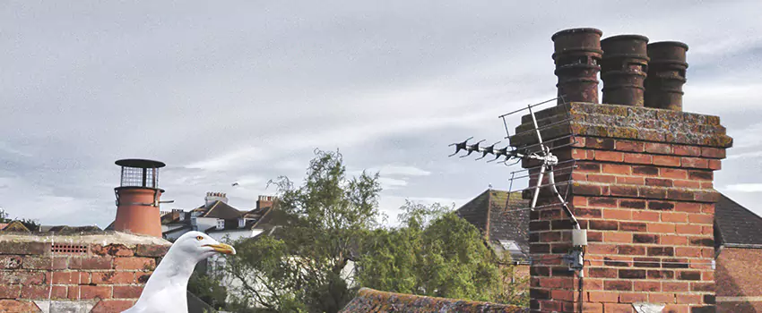 Chimney Cleaning And Restoration in Ballenger Creek, Maryland