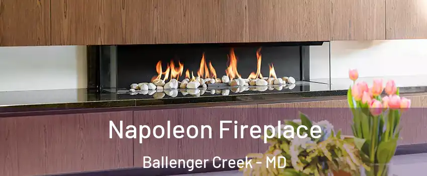 Napoleon Fireplace Ballenger Creek - MD