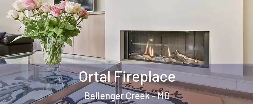  Ortal Fireplace Ballenger Creek - MD