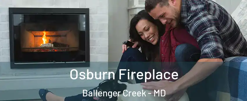  Osburn Fireplace Ballenger Creek - MD