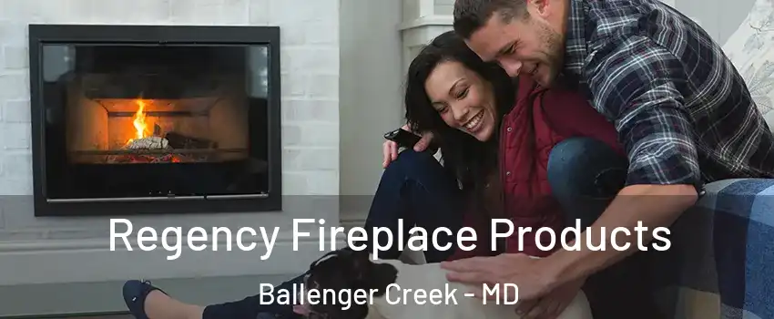  Regency Fireplace Products Ballenger Creek - MD