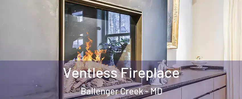  Ventless Fireplace Ballenger Creek - MD